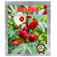 Rosella (Hibiscus Sabdariffa) Premium Quality Organic And High Yield Intact Pack Seeds 0.25gm image