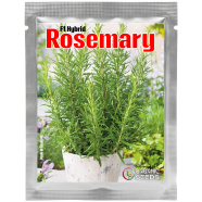 Rosemary Seed Intact Pack (Made in Thailand) image