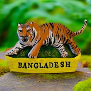 Royal Bengal Tiger - Fridge Magnet icon