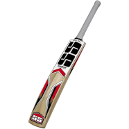 SS Master Kashmir Willow Cricket Bat Short Handle image