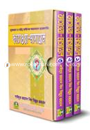 Sahih Fatawa Masail (Volume 1-3 together) image