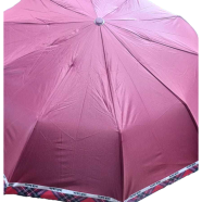 Sankar's Auto Open 10 Ribs Check Border Umbrella image
