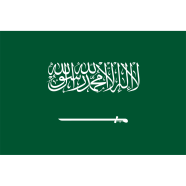 Saudi Arabia Flag FIFA World Cup 2026 image