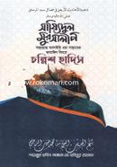 Sayedul Mursalin image