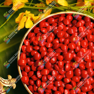 Scented Rosewood Tree Seeds Dalbergia Odorifera image