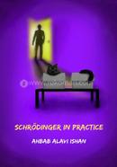 Schrodinger in Practice image