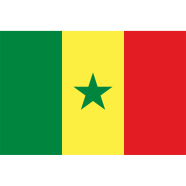 Senegal Flag FIFA World Cup 2026 image