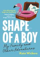 Shape of a Boy image