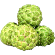 Sharifa Tree Seeds image