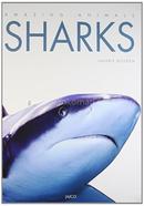 Sharks image