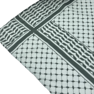 Shilpaholic Light Paste And Sea Green Keffiyah Hijab image