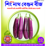 Shing Nath Long Brinjal Seeds - 30 Pcs image