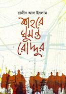Shohore Gumonto roddur image
