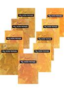 Shongkho Ghosher Goddosonggroh 1st to 9th Part (Rokomari Collection) image