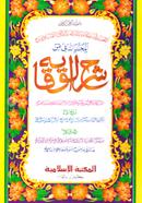 Shorohe Bekaya -2nd Part (Arabic) image