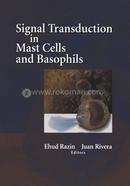 Signal Transduction in Mast Cells and Basophils image