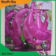 Sim Seeds- Red Bean image