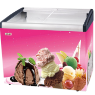 Singer Display Freezer 164 Ltr ICF-256A image