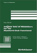 Singular Sets of Minimizers for the Mumford-Shah Functional: 233 image