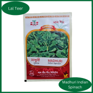 Siraj Tech Madhusri Spinach Seed image