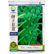 Small Cabbage, Brussels Sprouts image