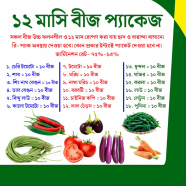 All Season Seeds Combo 18 Items image