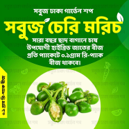 Sobujh Cherry Morich Beej