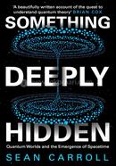 Something Deeply Hidden: Quantum Worlds and The Emergence of Spacetime image
