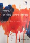 Songskriti ki Ache Tomar Petikay image