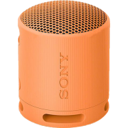 Sony SRS-XB100 Portable Wireless Speaker image