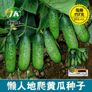 Special Cucumber Seeds - 10pcs image