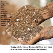 Brikkho Hat Special Ready Mix for Cactus and Succulents image