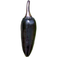 Spicy Black Chili Seeds - 20 Pcs image