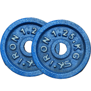 Sports And Fitness 1.25kg Dumbbell Plate 2 Pcs image