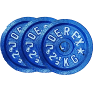 Sports And Fitness 2.5kg Dumbbell Plate 3 Pcs image