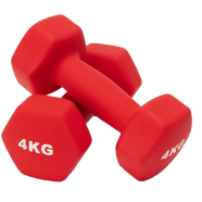Sports And Fitness Premium Quality 4kg Vinyl Dumbbell 2 Pcs image