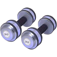 Sports House Silver Colour Dumbbell 3 kg - 1 Pair image