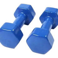 Sports House Vinyl Dumbbell-1 Pair - 10 kg image