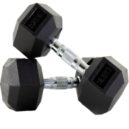 Sports and Fitness 12.5kg Hex Dumbbell 2 Pcs image