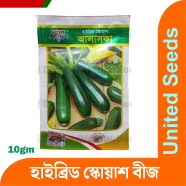 Squash Seeds 10 gm Intact image