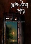 Srotyer Seemana Periya image