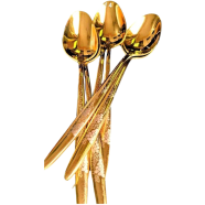 Stainless Steel Spoon Gold Premium Quality-6 Pcs icon
