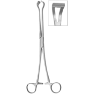 Stainless Steel Tissue/Organ/Gland Holding Forceps- 16 cm image