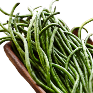 String Beans Seeds - 10Pcs image