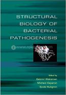 Structural Biology Of Bacterial Pathogenesis image
