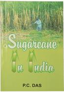 Sugarcane in India image