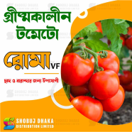 Summer Tomato ROMA VF Intact Pack image