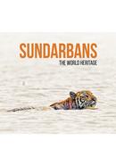 Sundarbans image