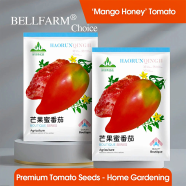 Super Sweet Mango Honey Tomato Seeds Foil Intact Pack 0.25gm image