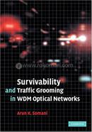 Survivability and Traffic Grooming in WDM Optical Networks image